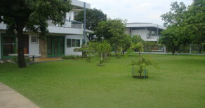 FOR RENT Nice & Big Single House at Sukhumvit 71  for living